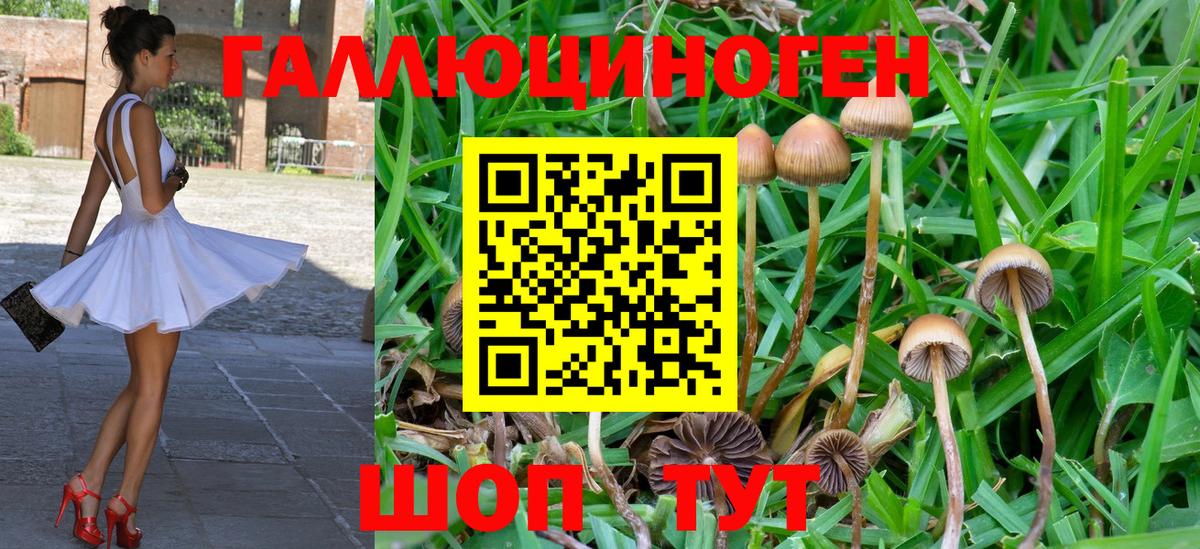 Псилоцибиновые грибы мицелий Назрань