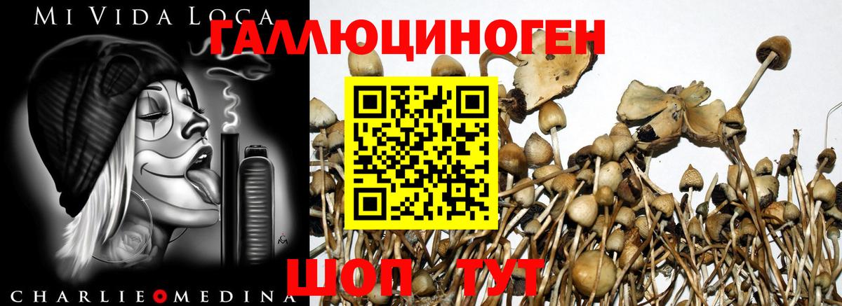 Назрань  Псилоцибиновые грибы мухоморы  Вход с VPN 